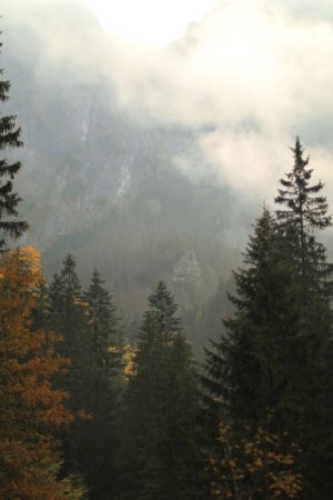 Fotoaktywni 09